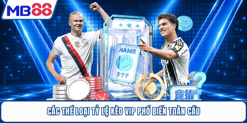 Các thể loại tỷ lệ kèo VIP phổ biến toàn cầu