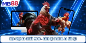 Mẹo Chọn Gà Chuẩn MB88 - Cách Dự Đoán Đá Gà Bất Bại