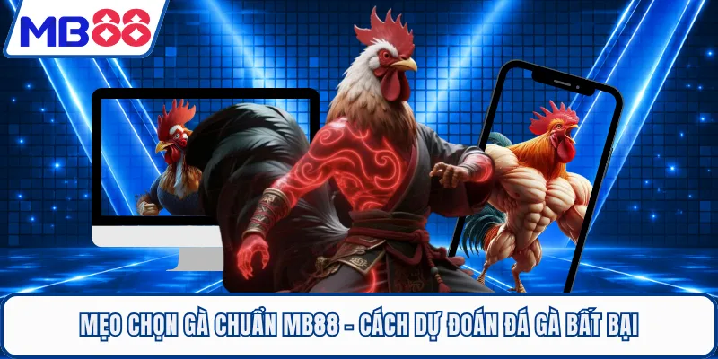 Mẹo Chọn Gà Chuẩn MB88 - Cách Dự Đoán Đá Gà Bất Bại