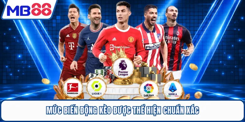 Mức biến động kèo được thể hiện chuẩn xác