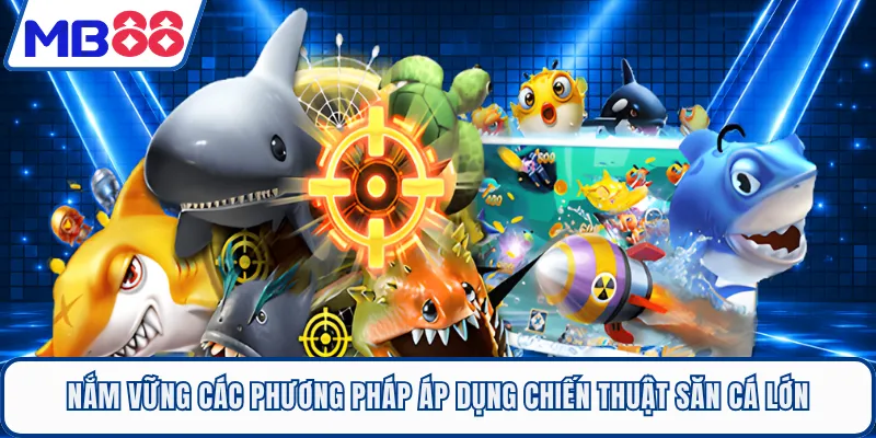 Nắm vững các phương pháp áp dụng chiến thuật săn cá lớn