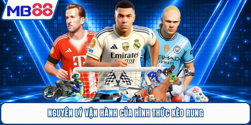 Nguyên lý vận hành của hình thức kèo rung