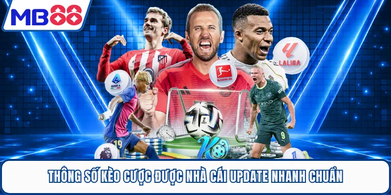 Thông số kèo cược được nhà cái update nhanh chuẩn