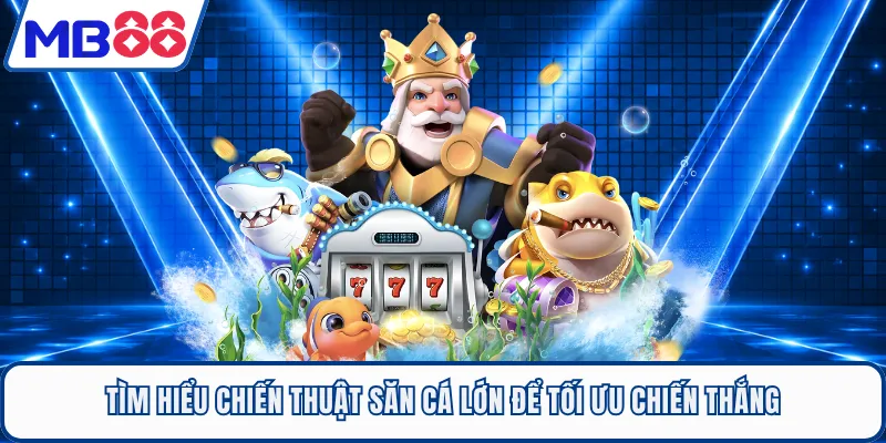 Tìm hiểu chiến thuật săn cá lớn để tối ưu chiến thắng
