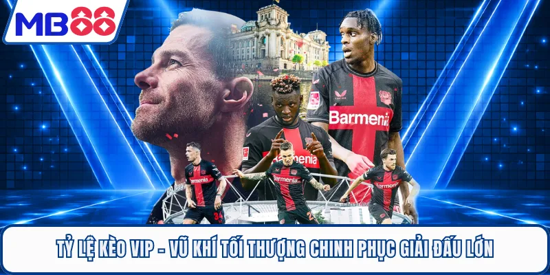 Tỷ Lệ Kèo VIP - Vũ Khí Tối Thượng Chinh Phục Giải Đấu Lớn