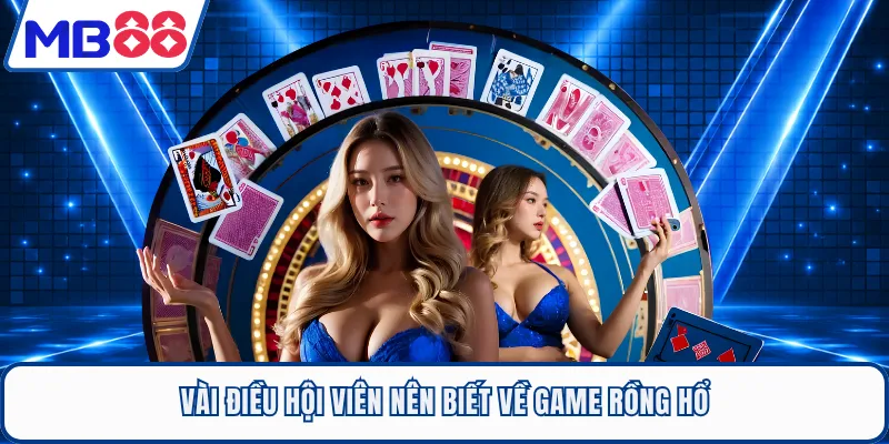 Vài điều hội viên nên biết về game Rồng Hổ
